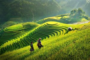 MỘC CHÂU – 4 MÙA ĐẸP MÊ HỒN