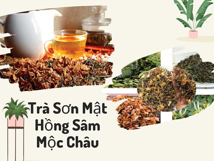 Trà Sơn Mật Hồng Sâm Mộc Châu
